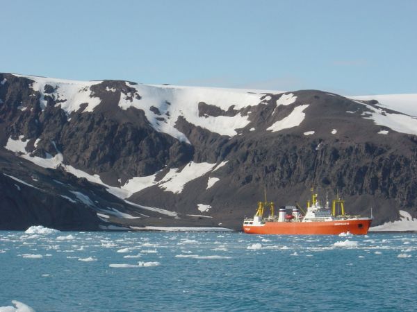 Antarktida materikinin sahilləri