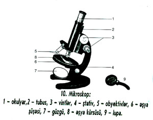 mikroskopun quruluşu,mikroskop