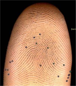 barmaq izi (fingerprint)