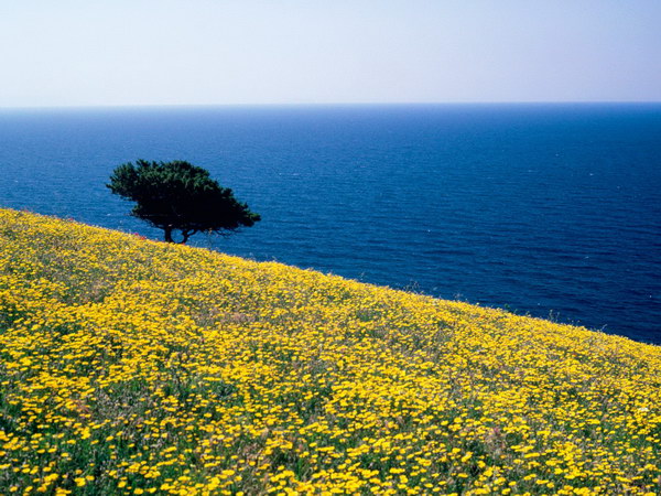 Antiparos, Aegean Sea, Egey dənizi,Yunanıstan