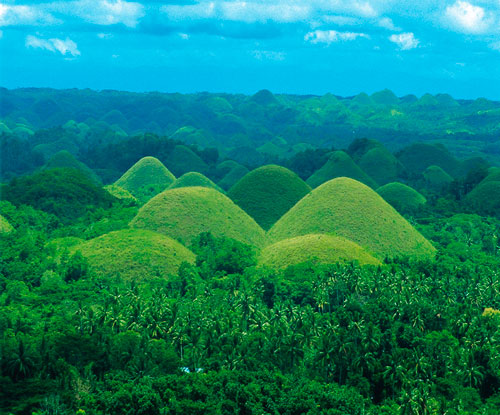 Filipinler'in yeşil ormanları